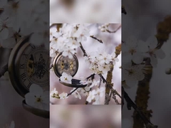 Лилия Роза Османтус Зубы Отбеливающая зубная паста в упаковке из белой бумаги 400 г