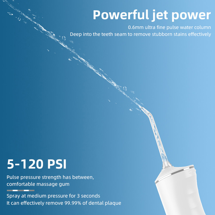 Вода Flosser Irrigator зубоврачебной заботы перевозчика зубоврачебной металлической пластинкы дома IPX7 и перемещения профессиональная